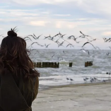 White Pearl 1.08 Lägenhet *