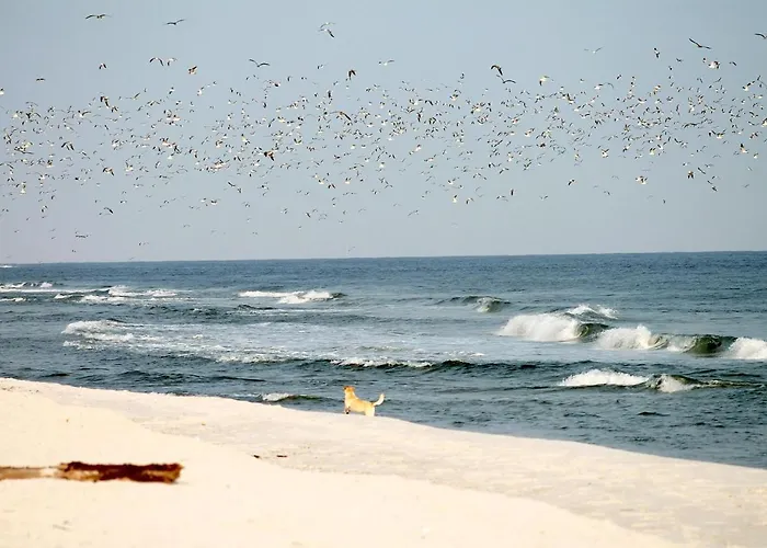 White Pearl 1.08 * Timmendorfer Strand